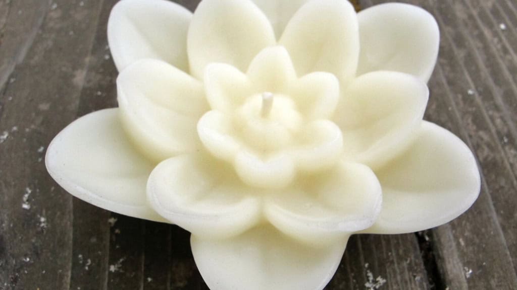 White Lotus Floating Candles