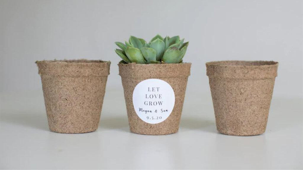Biodegradable Pulp Succulent Favor Pots