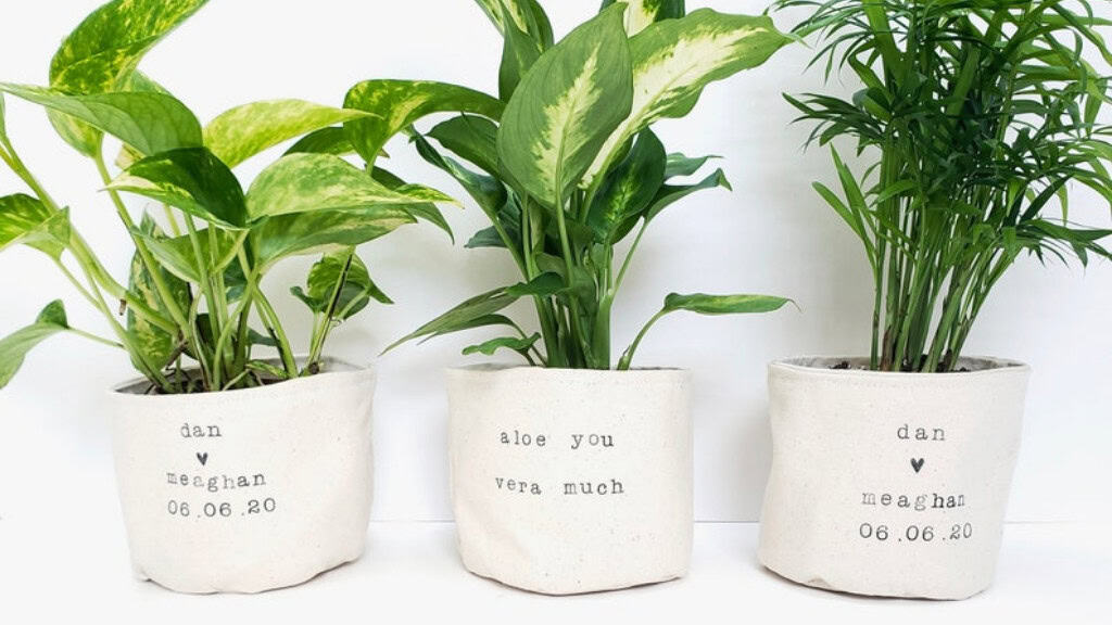 Unique Wedding Indoor Canvas Planter