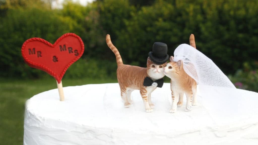Cat Cake Topper for Wedding Cakes