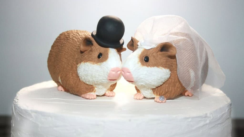 Guinea Pig Wedding Cake Toppers