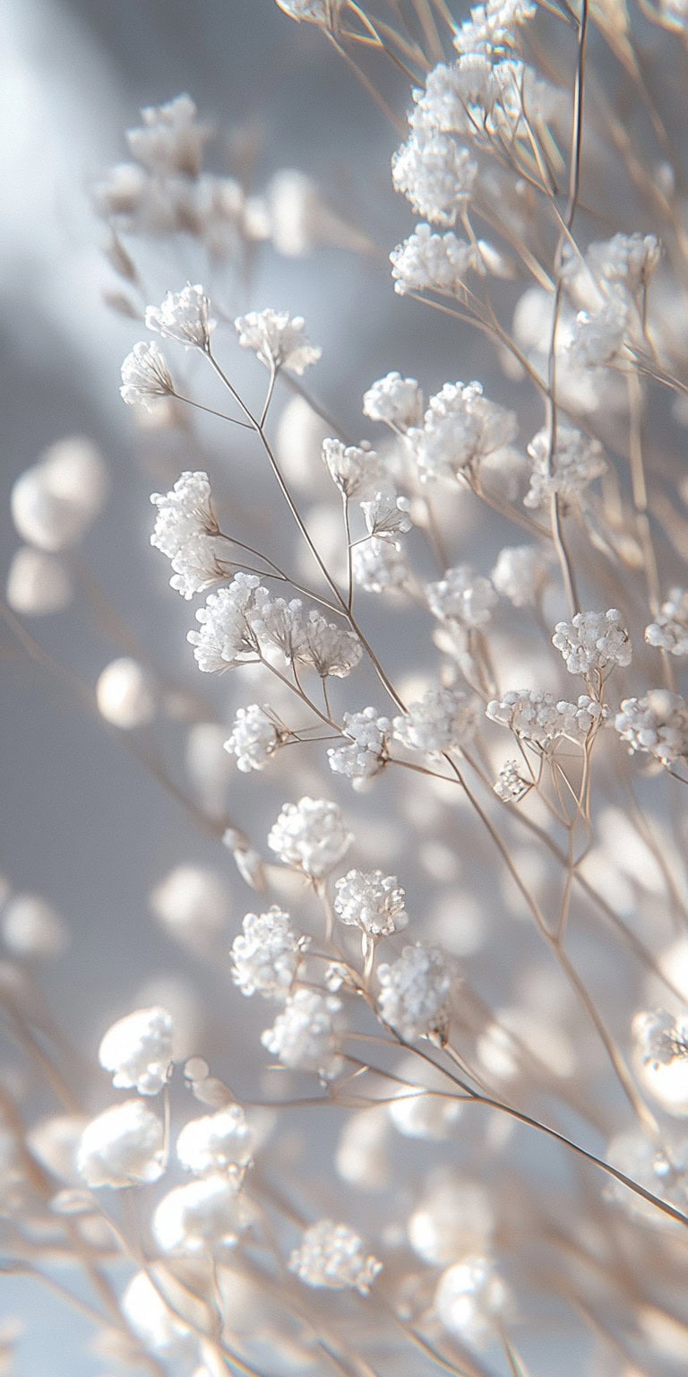Babys Breath 1