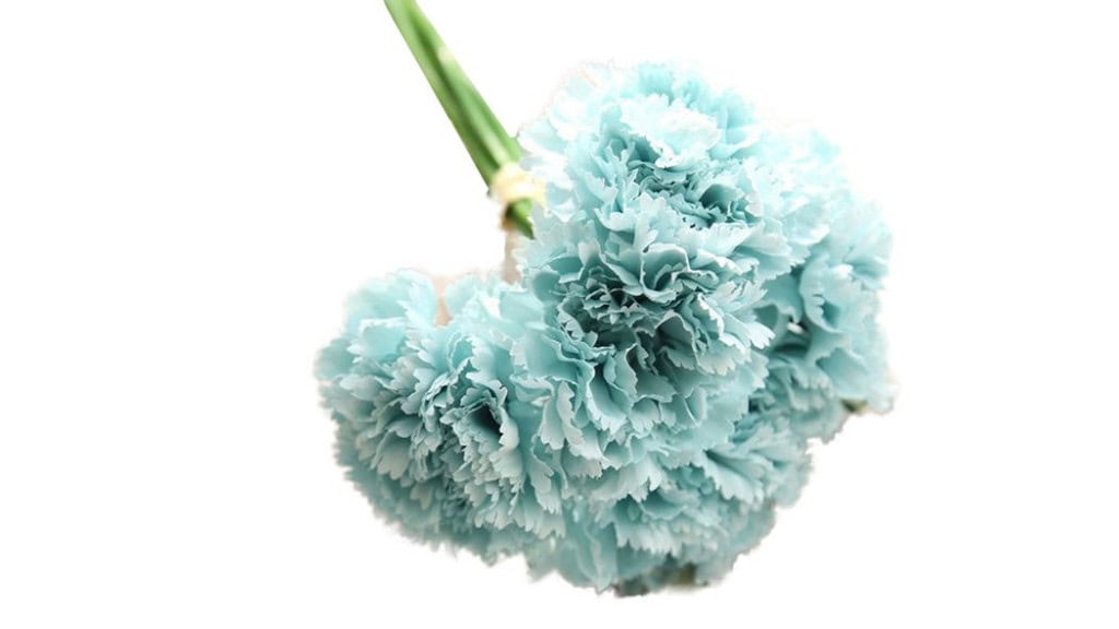Carnation Silk Artificial Flower Bouquet