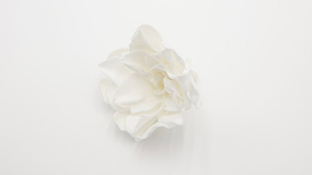 Preserved White Gardenia Jasmine Flower