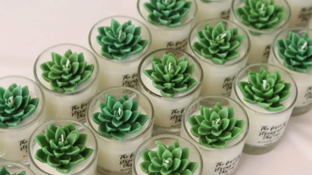 Succulent Favor Mini Candles