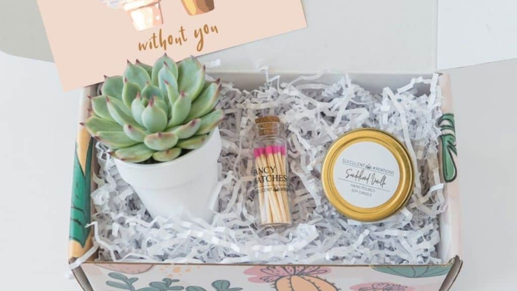 My Wedding Would Succ Succulent Gift Box