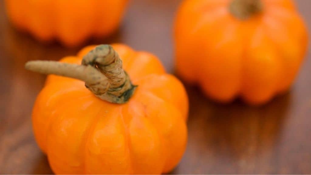 Mini Pumpkins for Holiday Decor