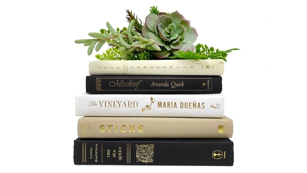 Hand-Selected Decorative Books