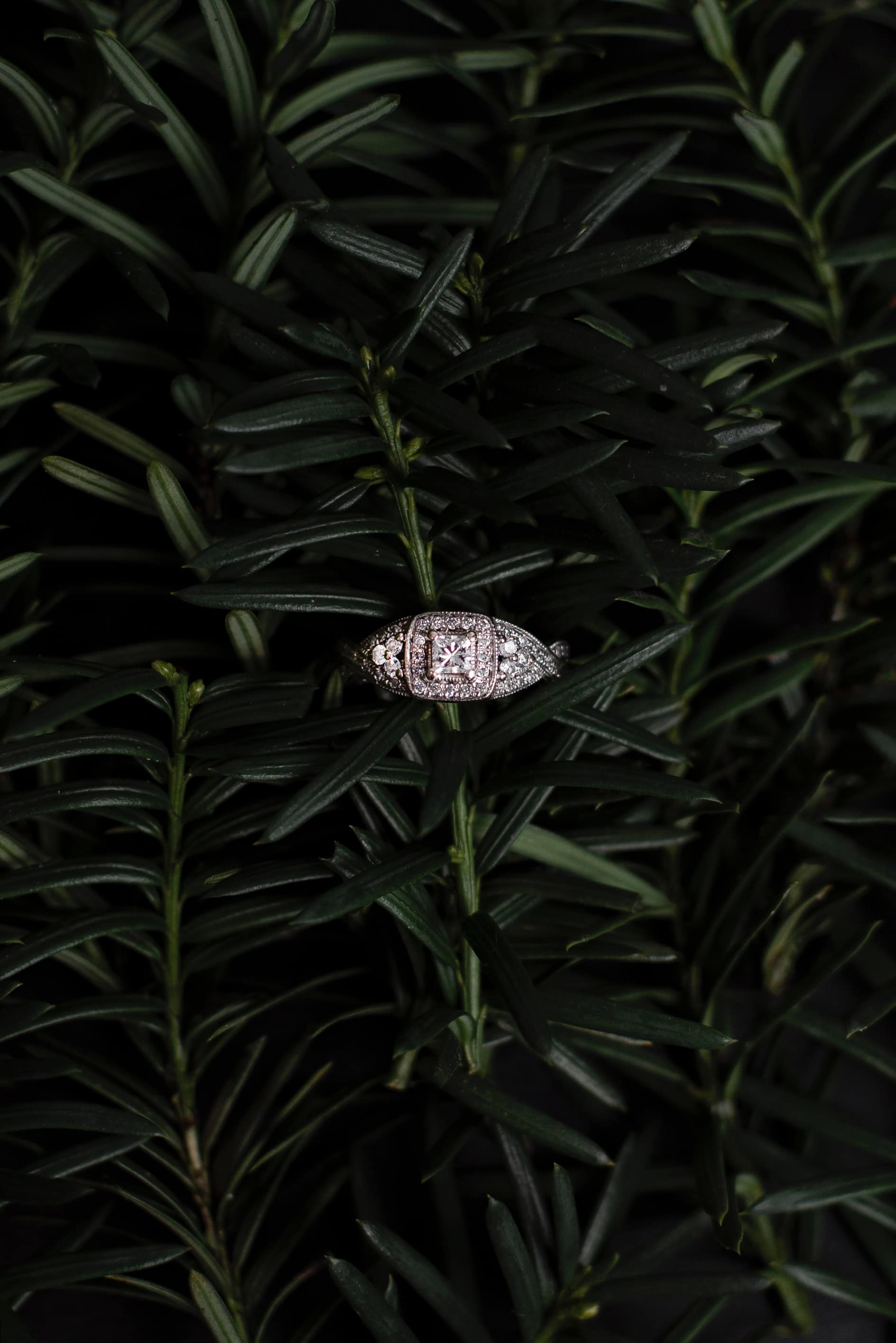 Engagement Ring Photos Ideas Don’t Complicate It