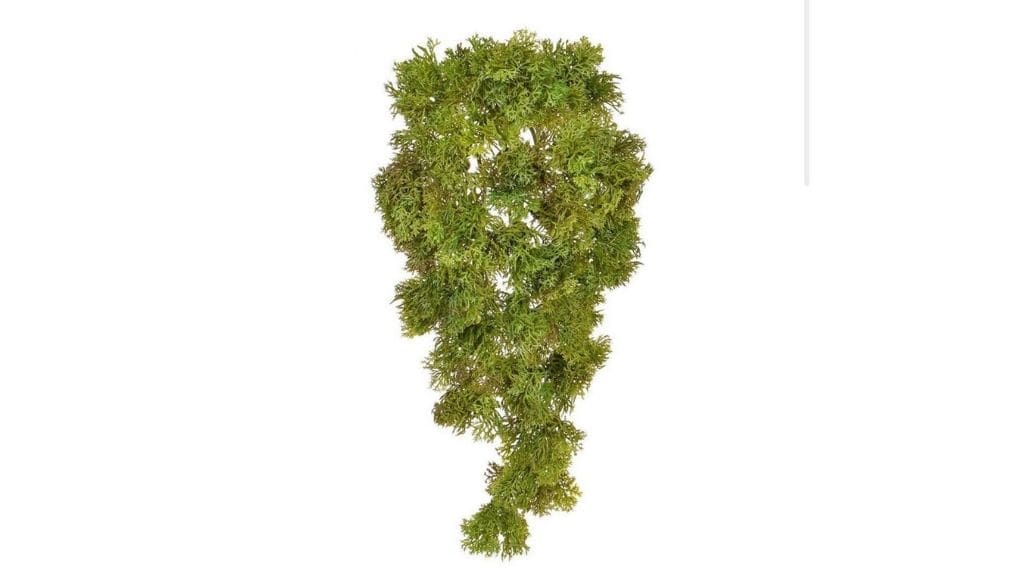 Green Artificial Reindeer Moss Trailing 35cm