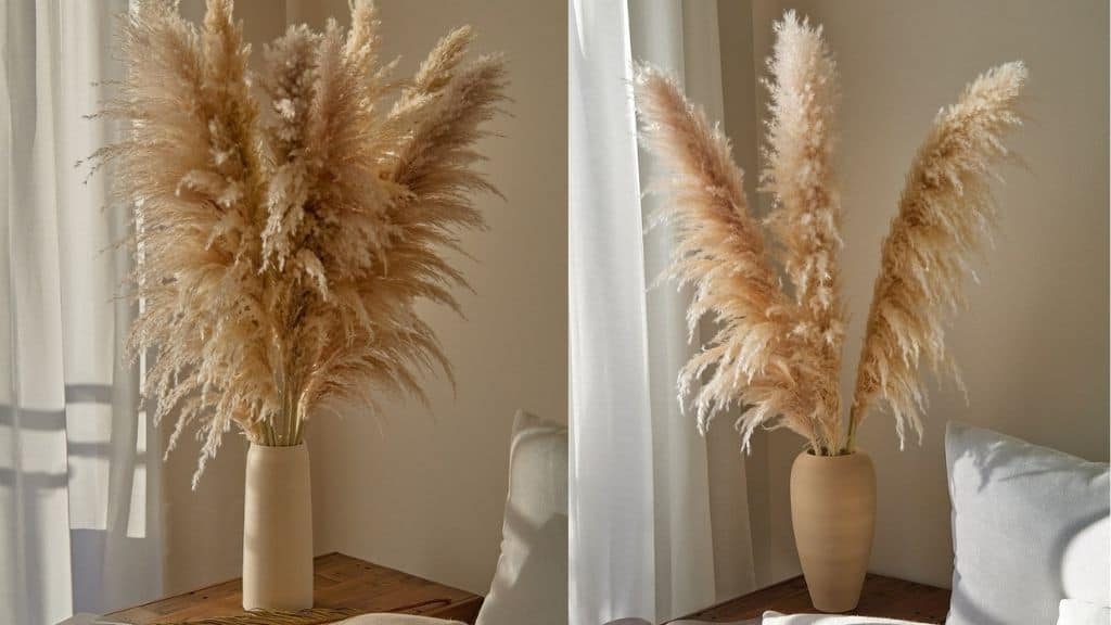 Small Pampas Grass Natural Centerpiece