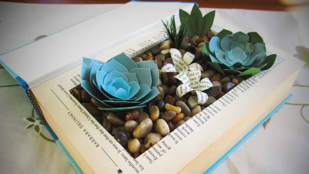 Succulent Care Guide Book