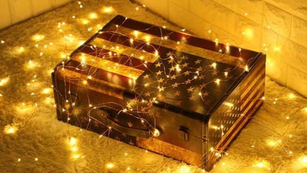 Firefly Battery-Operated Fairy Lights