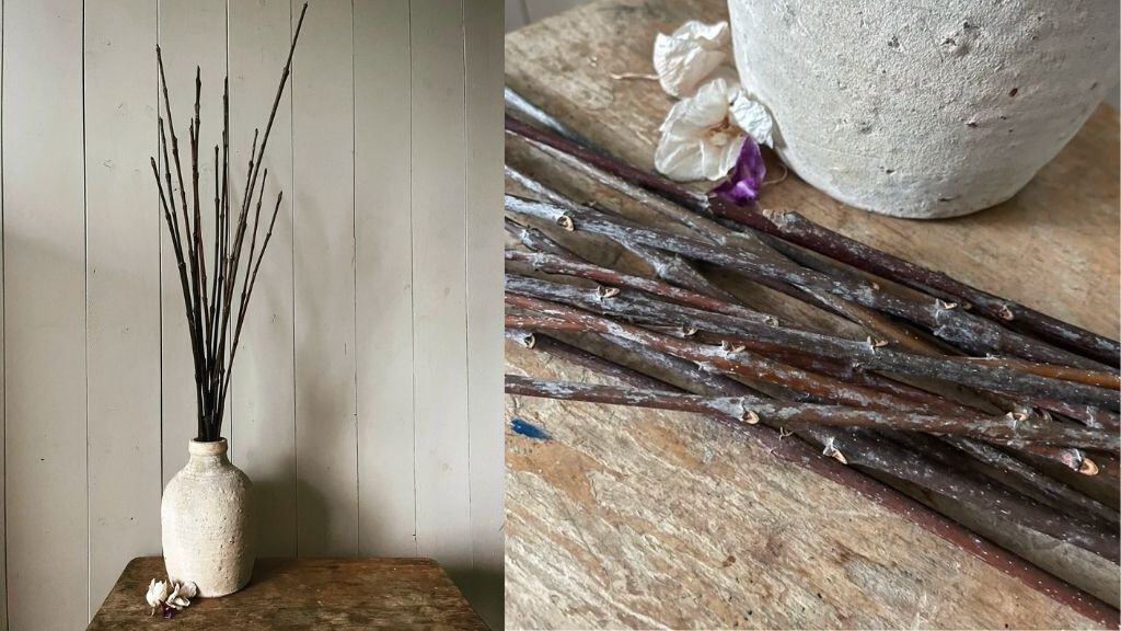36” Oregon Ash Branches from Willamette Valley
