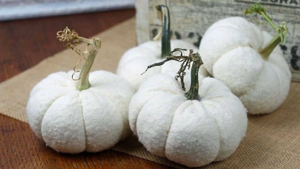 Handmade Soft Fabric White Pumpkins