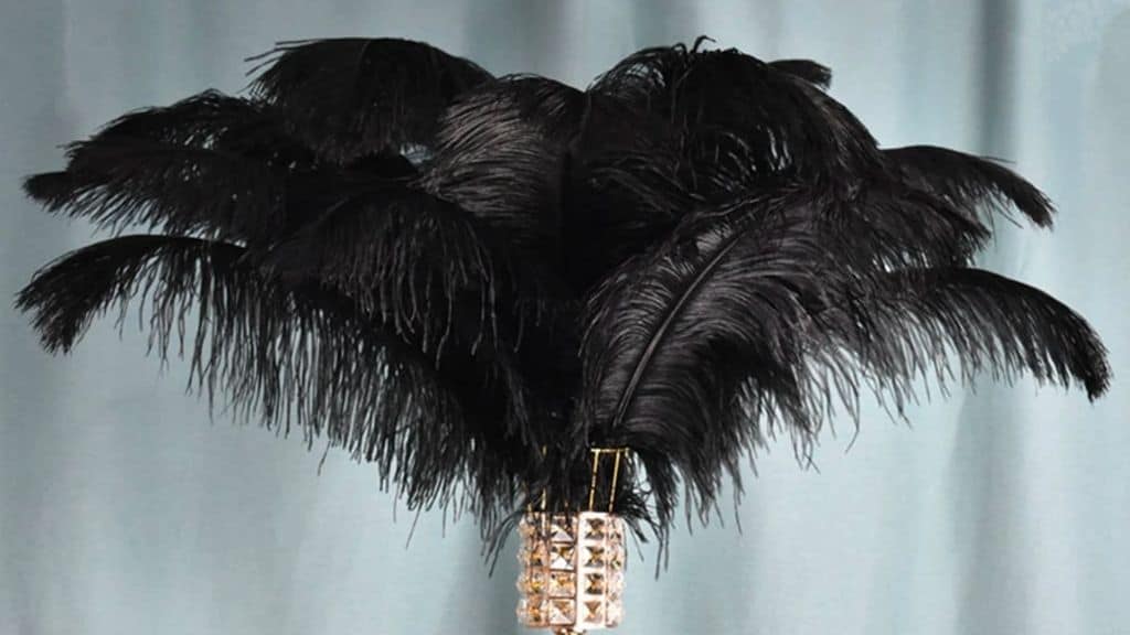 Black Ostrich Feather for Crafts and Decor