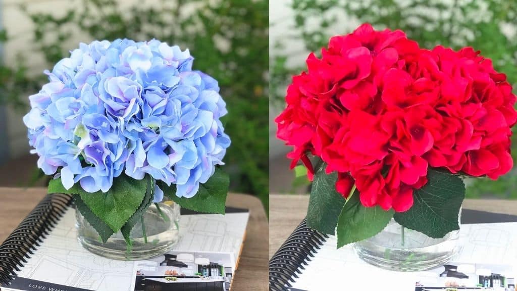 Blue or Red Hydrangea Centerpiece