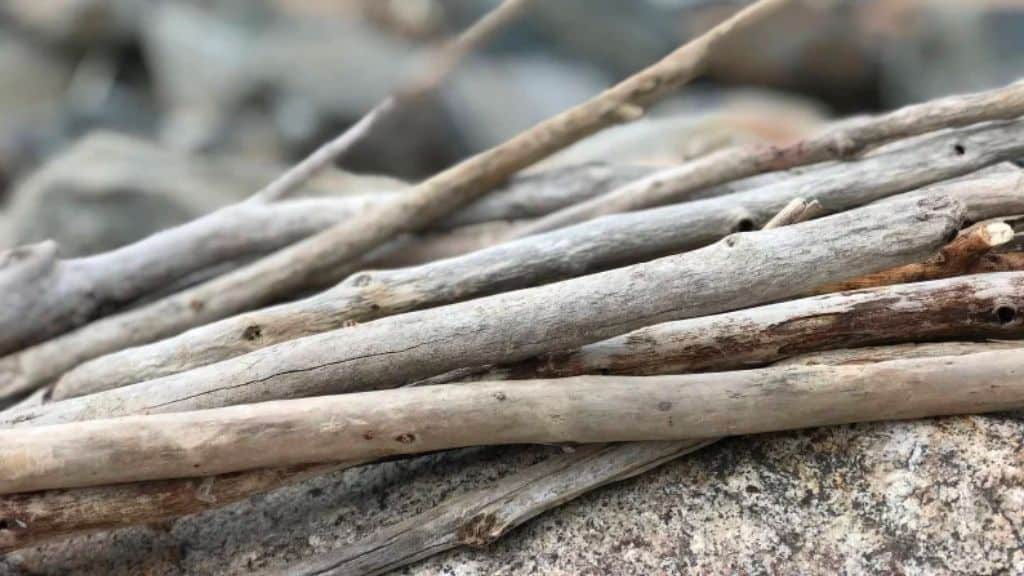 Freshwater Driftwood Branches 2-5 Feet