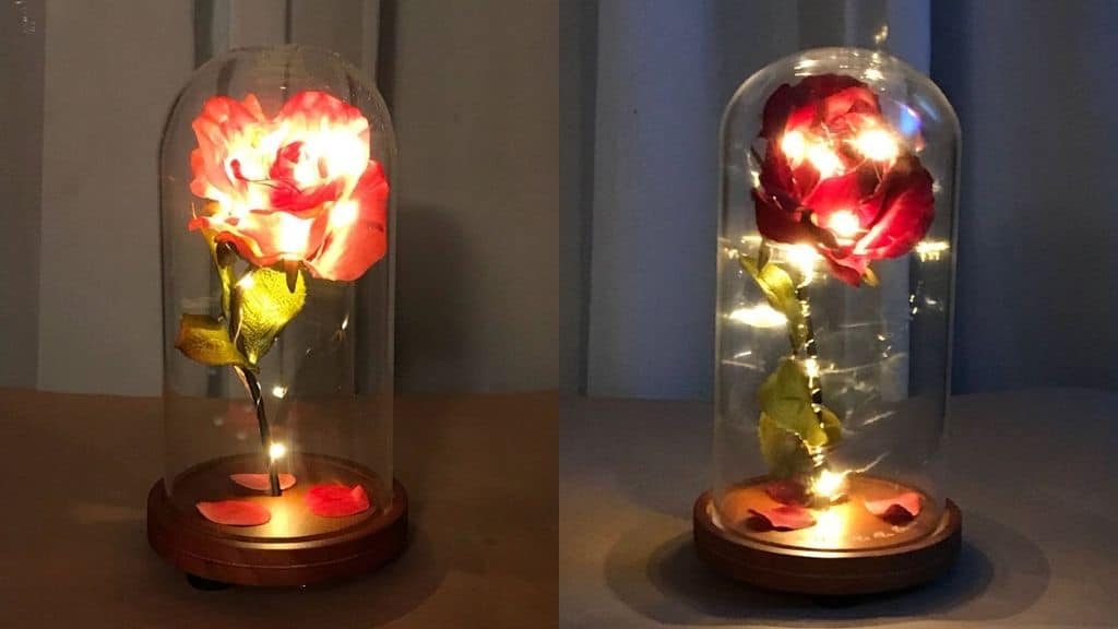 Engraved Illuminated Beauty and the Beast Rose