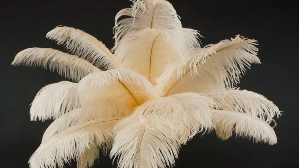 OP15 Low Ostrich Feather Centerpiece