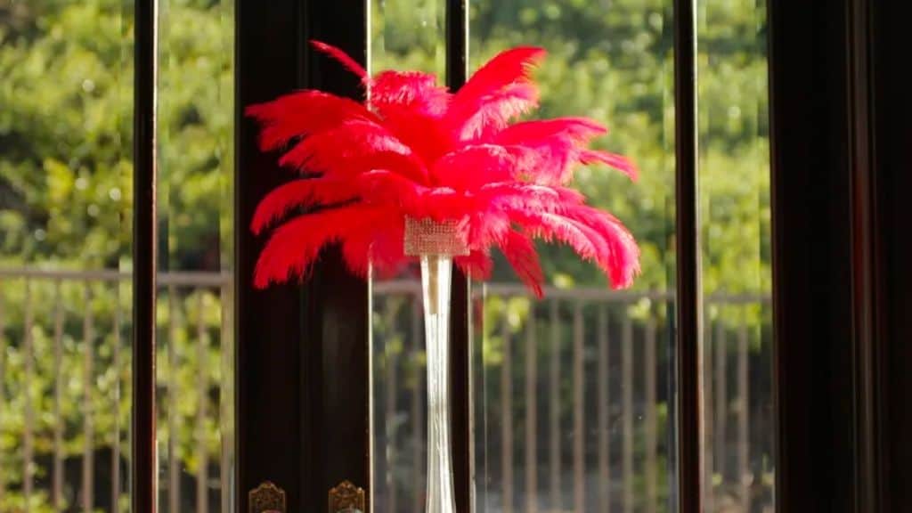 Red Ostrich Feather Centerpiece