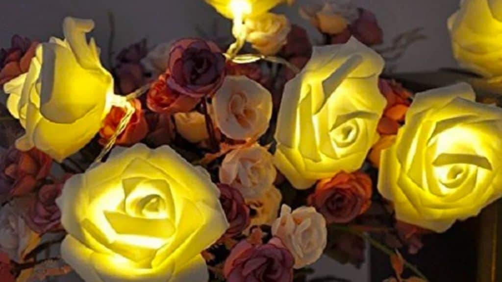Rose Flower Fairy String Lights 20 LEDs
