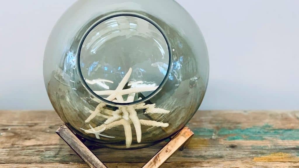 Vase Bowl with Removable Glass Top