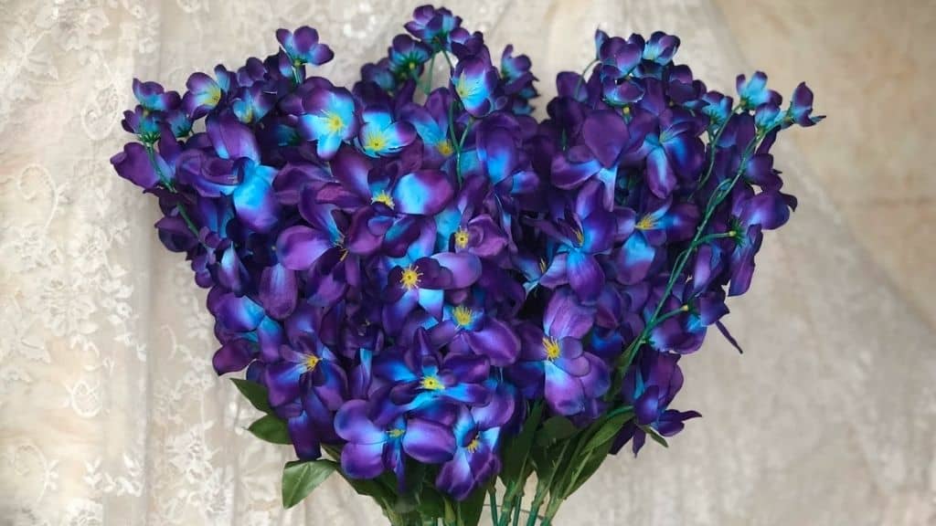 27.1 Inch Galaxy Orchids Stem