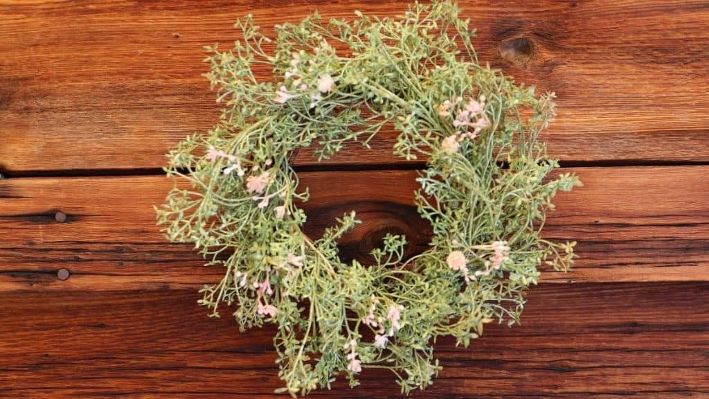 Mini Green Baby's Breath Wreath