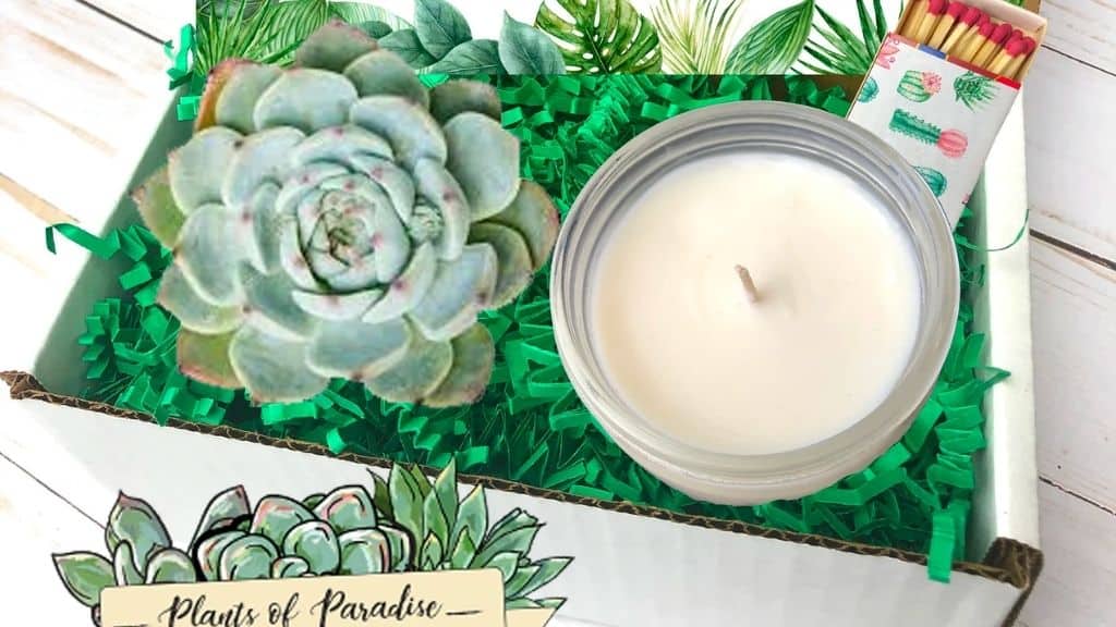 Succulent Gift Box with Personalized Candle