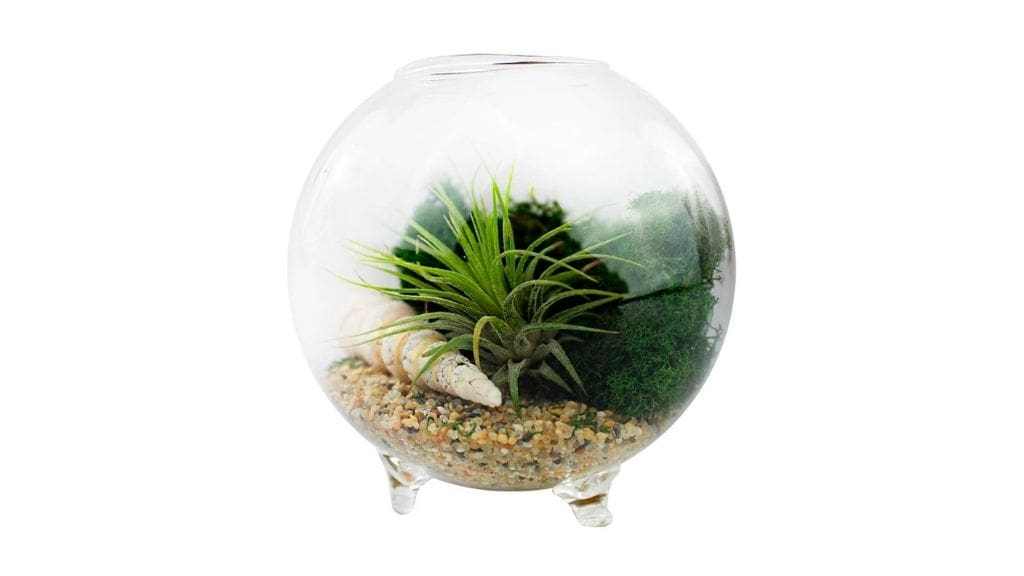 Footed Orb Glass Terrarium with Three Legs