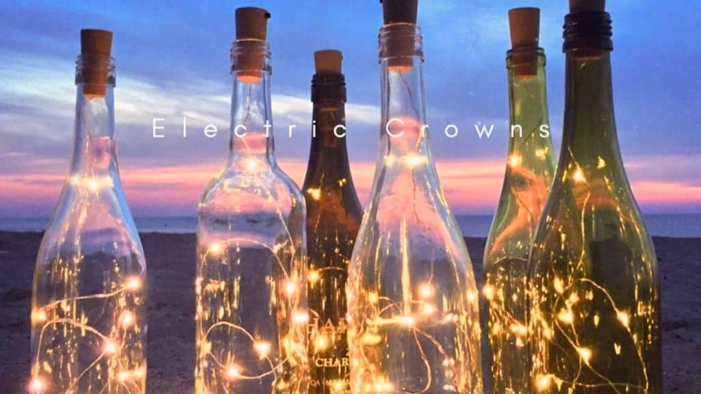 Fairy Wine Bottle Lights