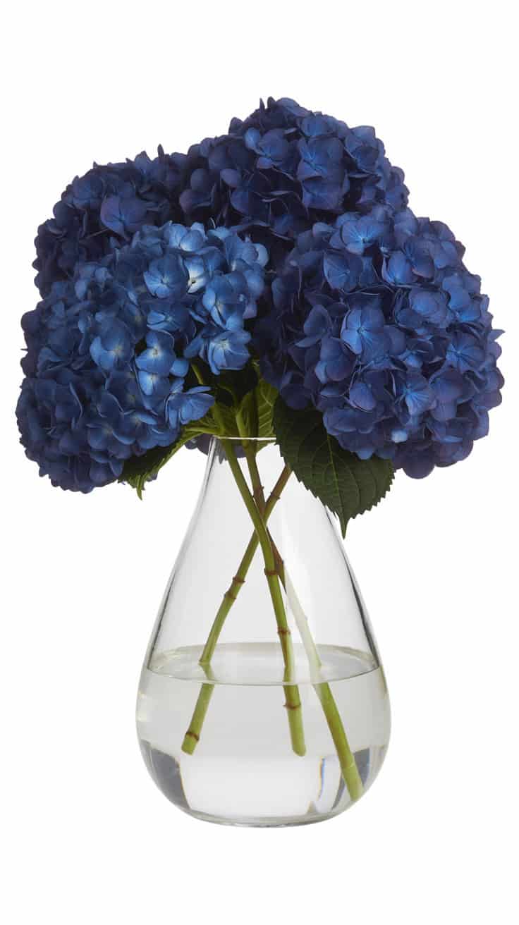 a high quality product photograph of dee Y7wBCT kQ7eI2Kf57uoc2w XnFwadmRSY QmqY01vzEEA