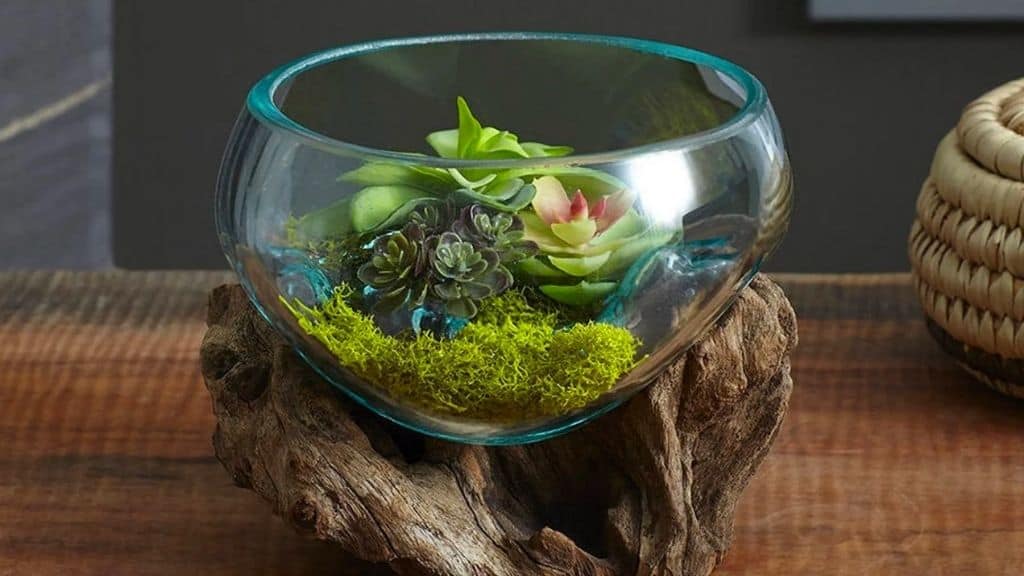 Molten Glass Bowl on Teak Wood Base