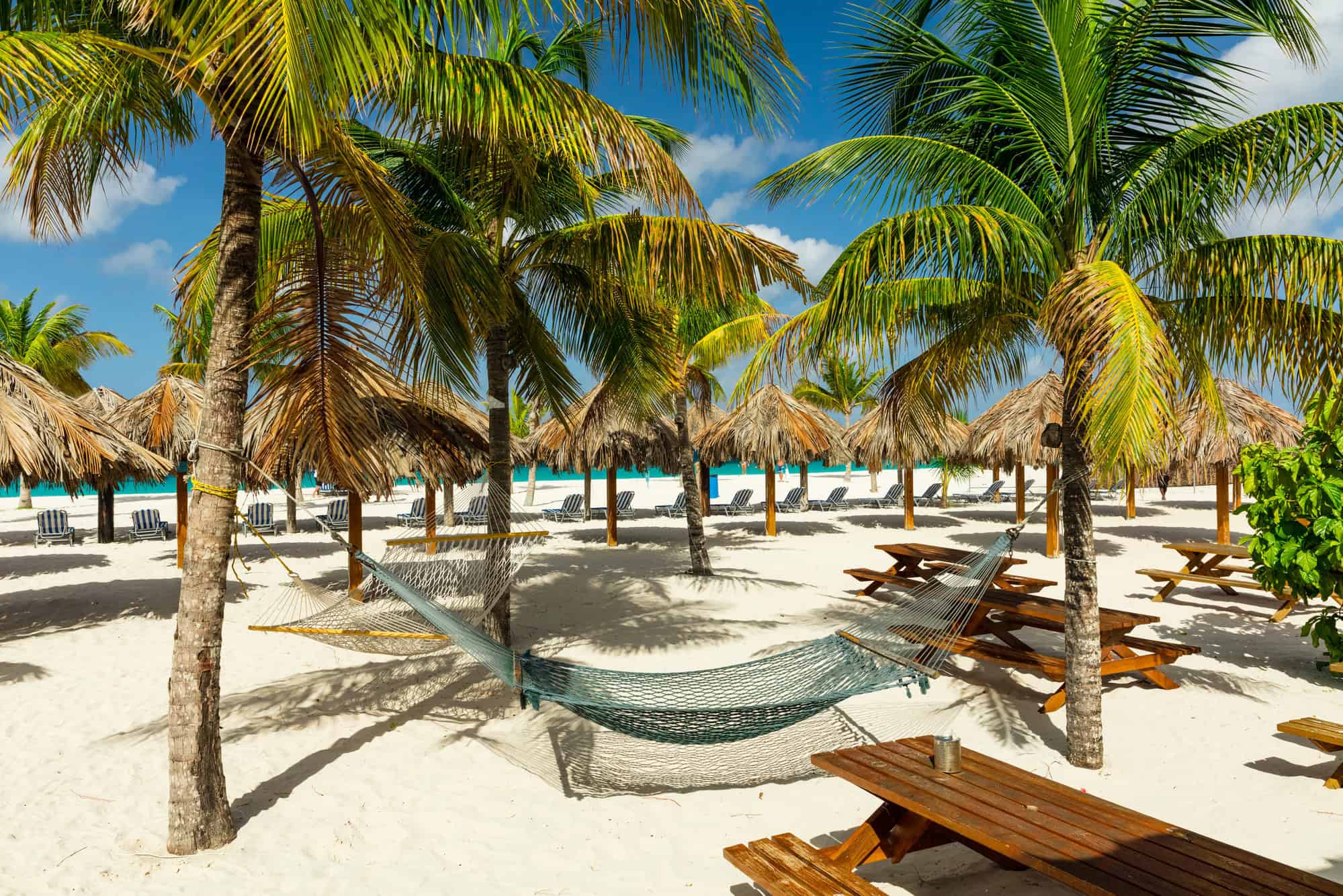 sandals barbados vs sandals royal barbados