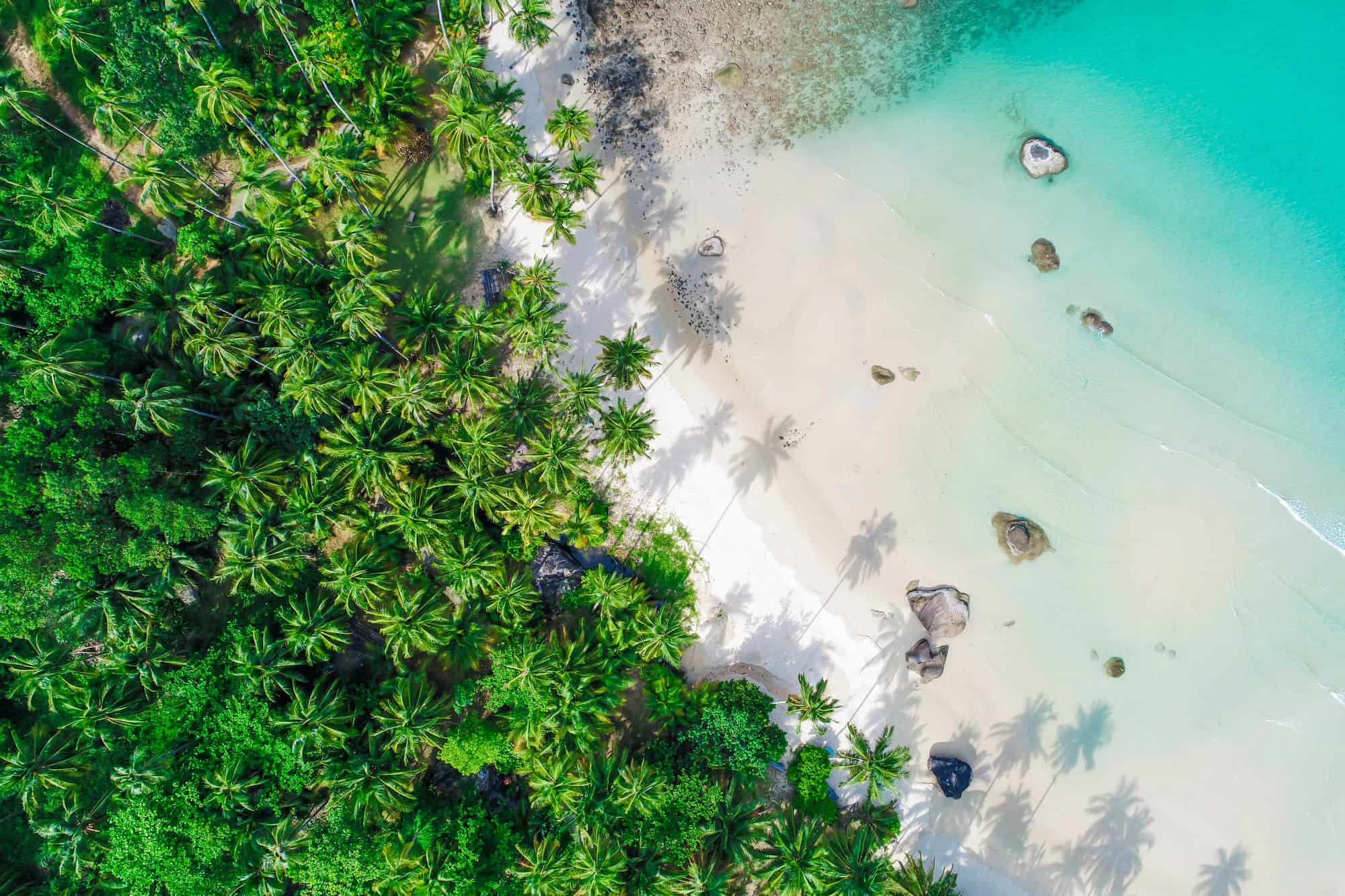 Is the Honeymoon Over for All-inclusive Resorts