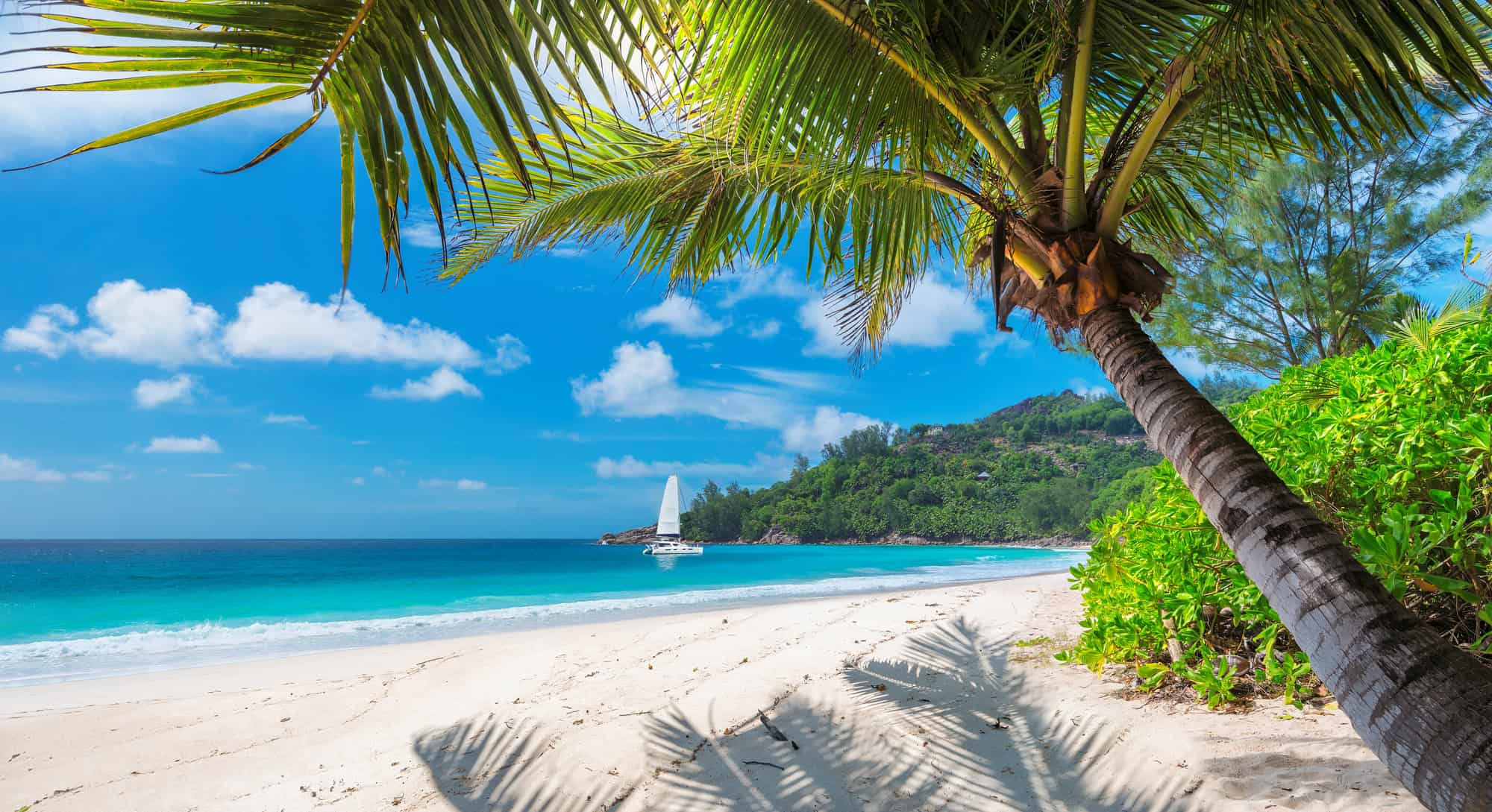 Sandals Montego Bay vs Ochi