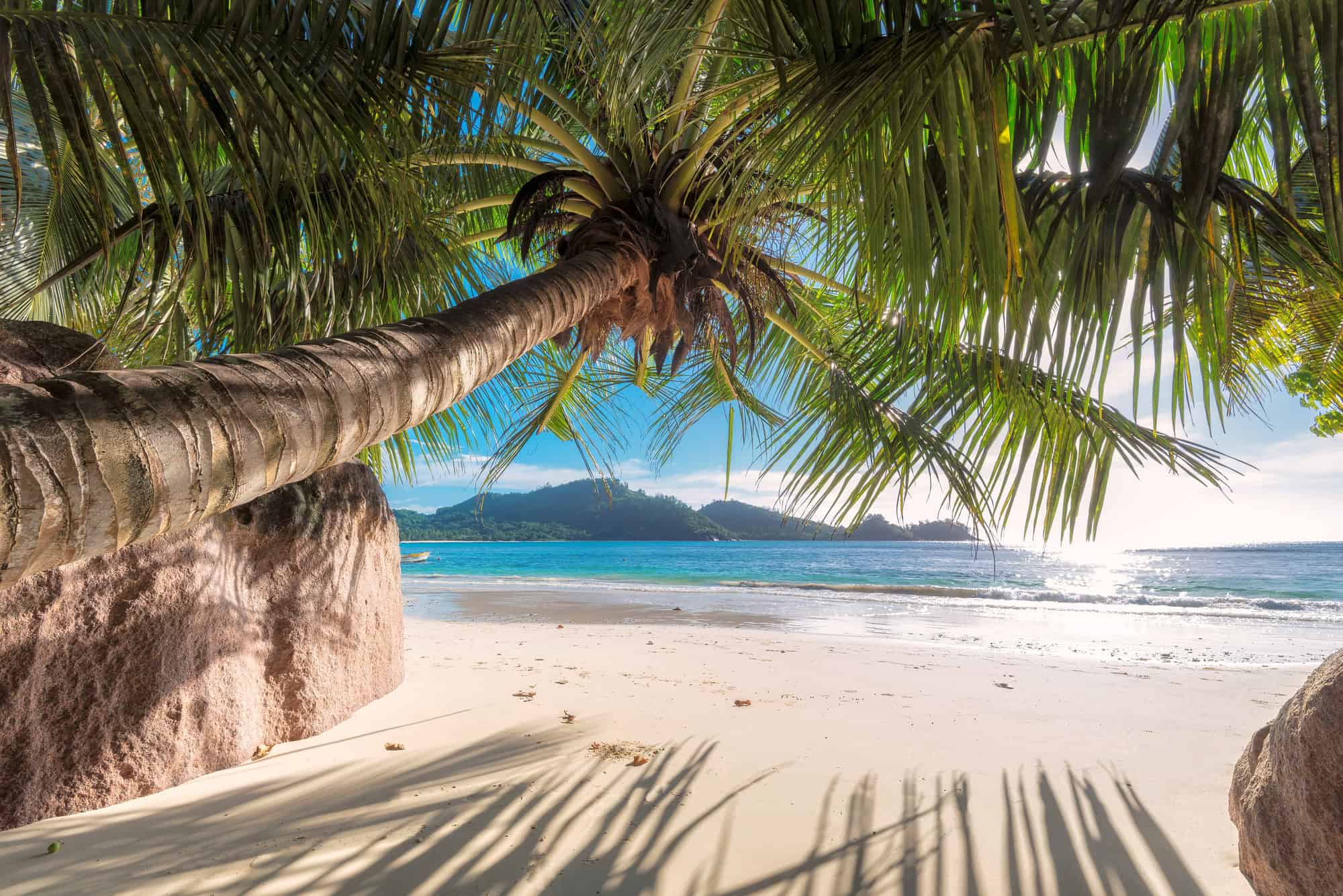 Sandals Negril vs South Coast