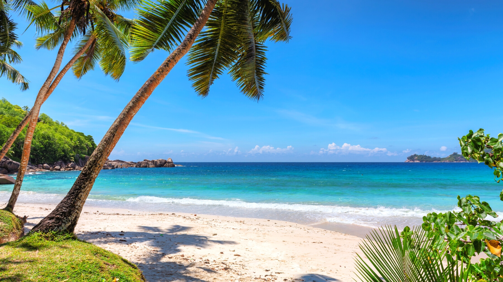 Choosing the Best All-Inclusive Resort in Jamaica: Top Picks
