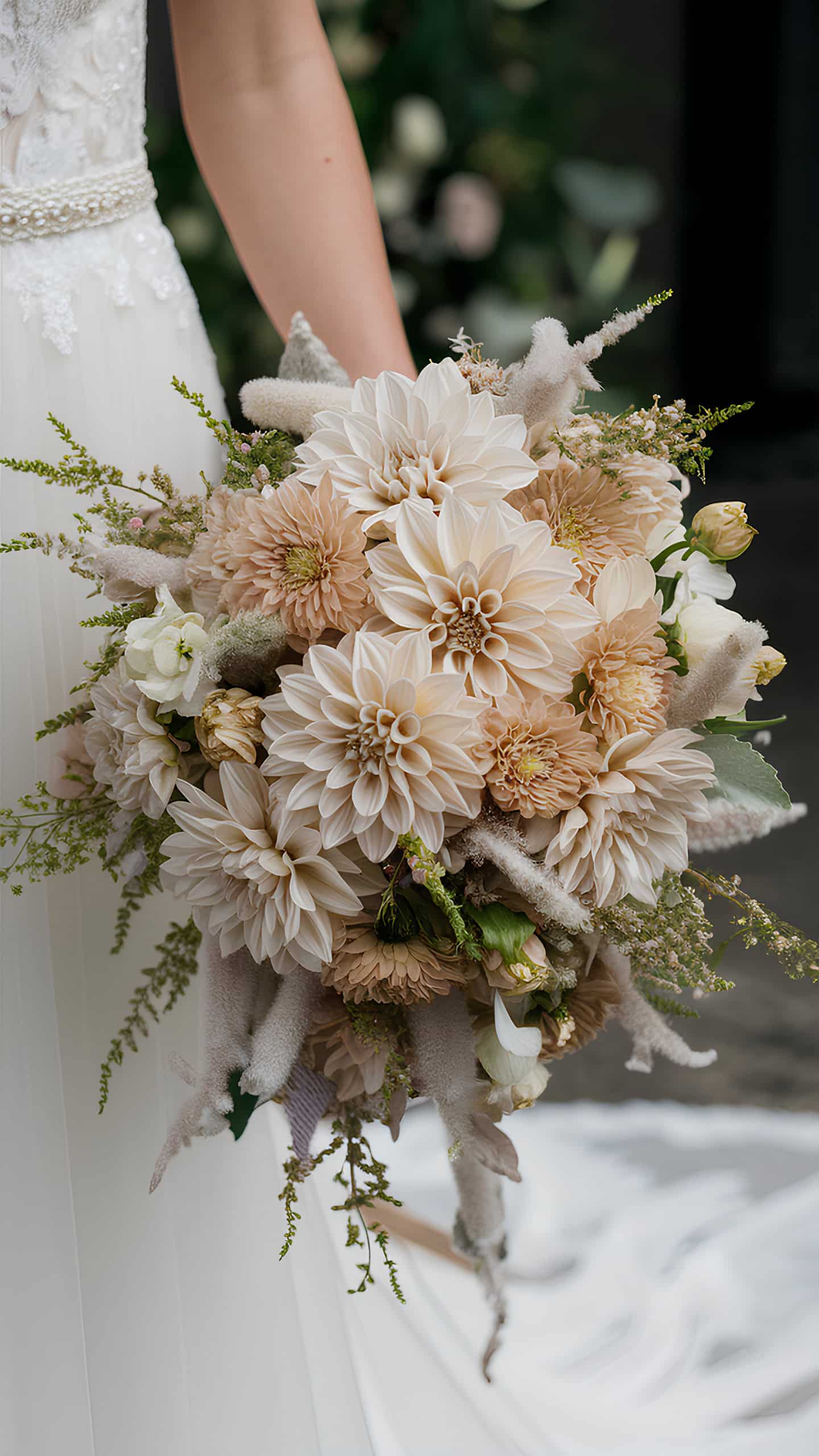 Beige Dahlias