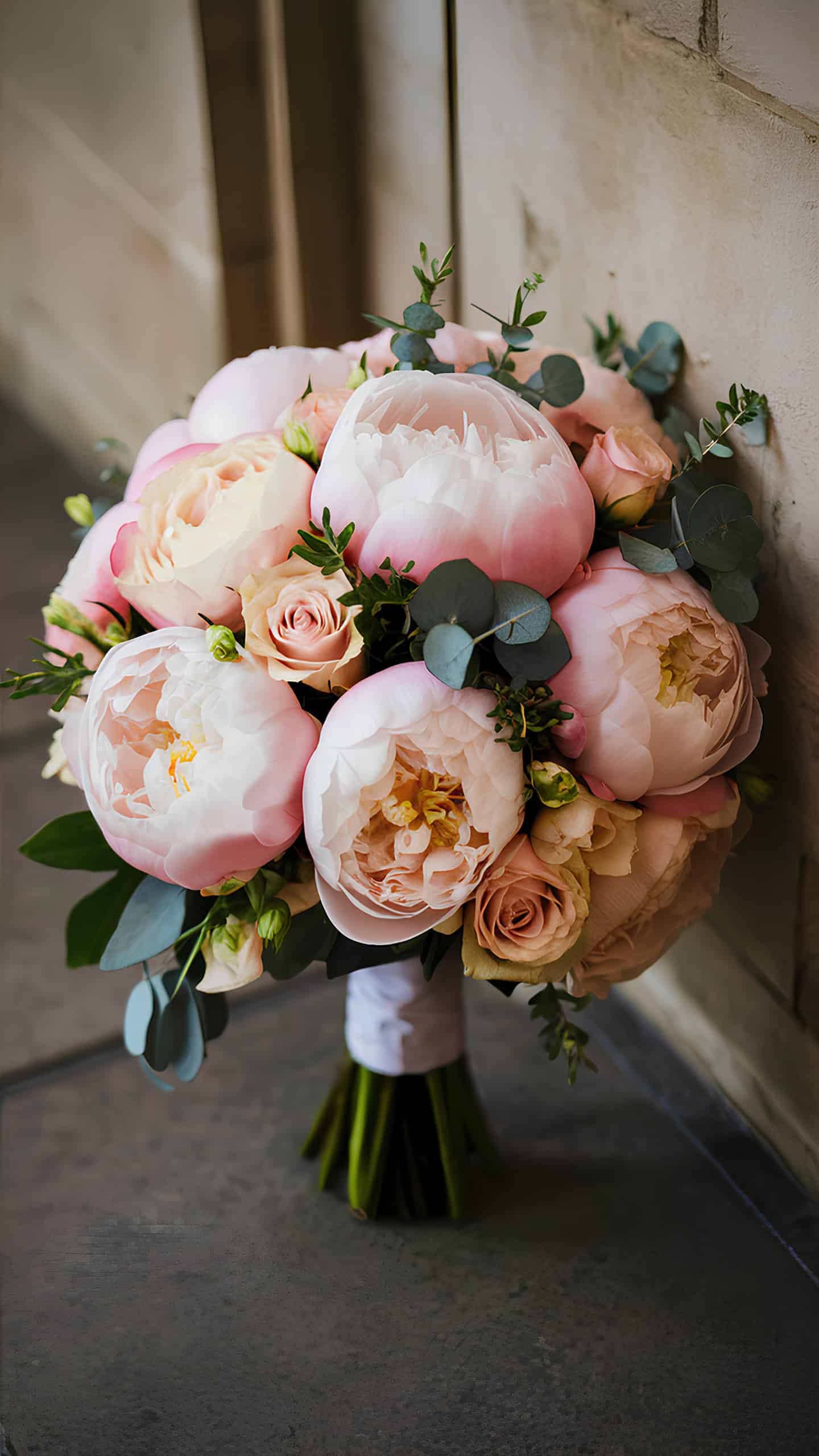 Blushing Bride Peonies
