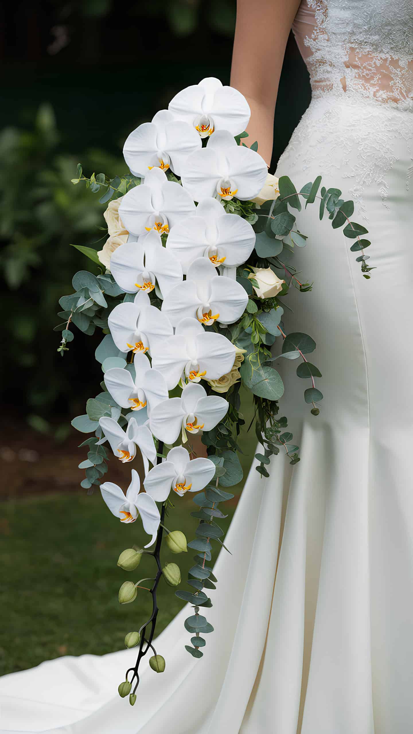 Cascading Orchids