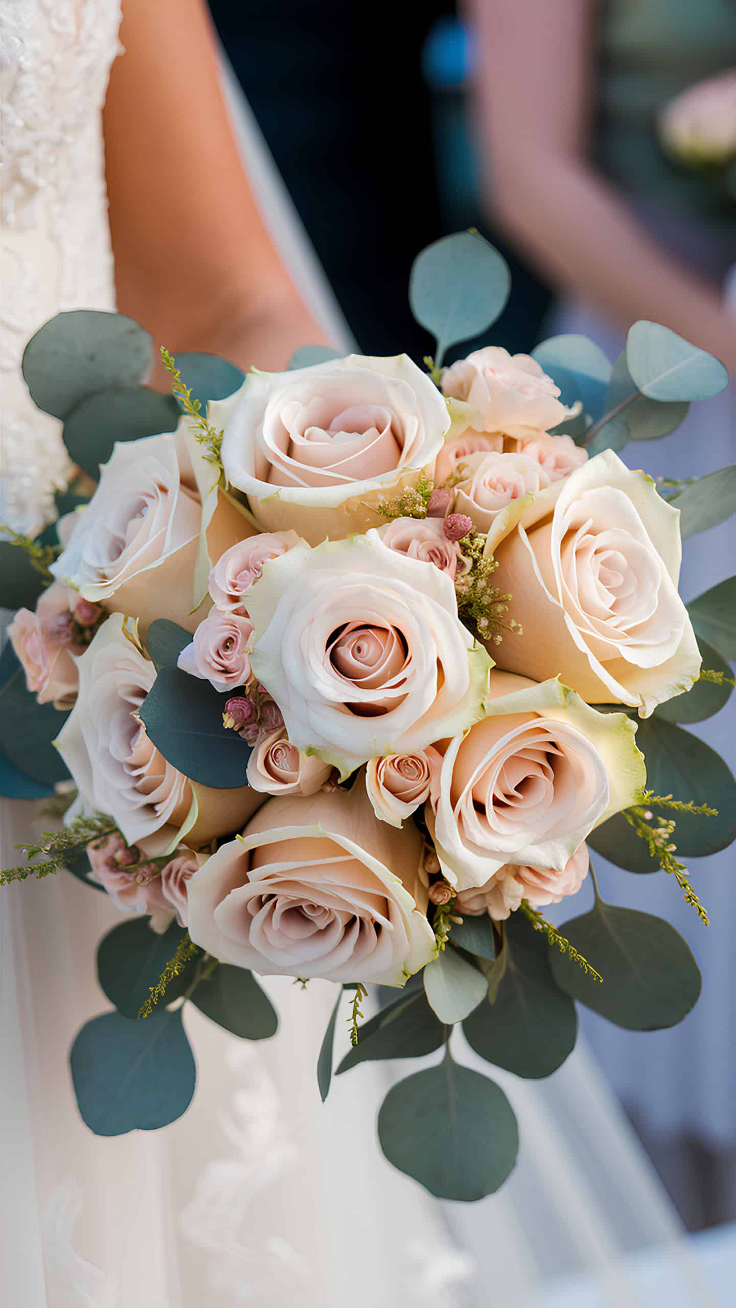 Champagne Roses