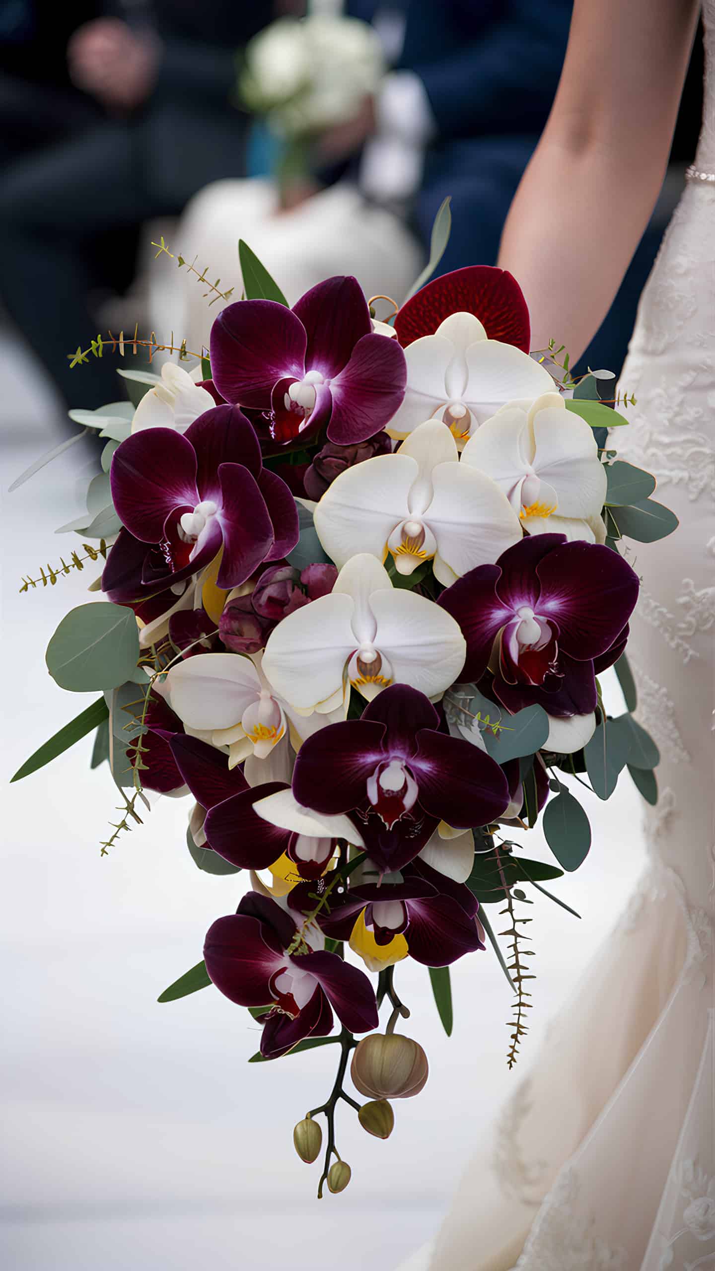 Mahogany and Champagne Orchids