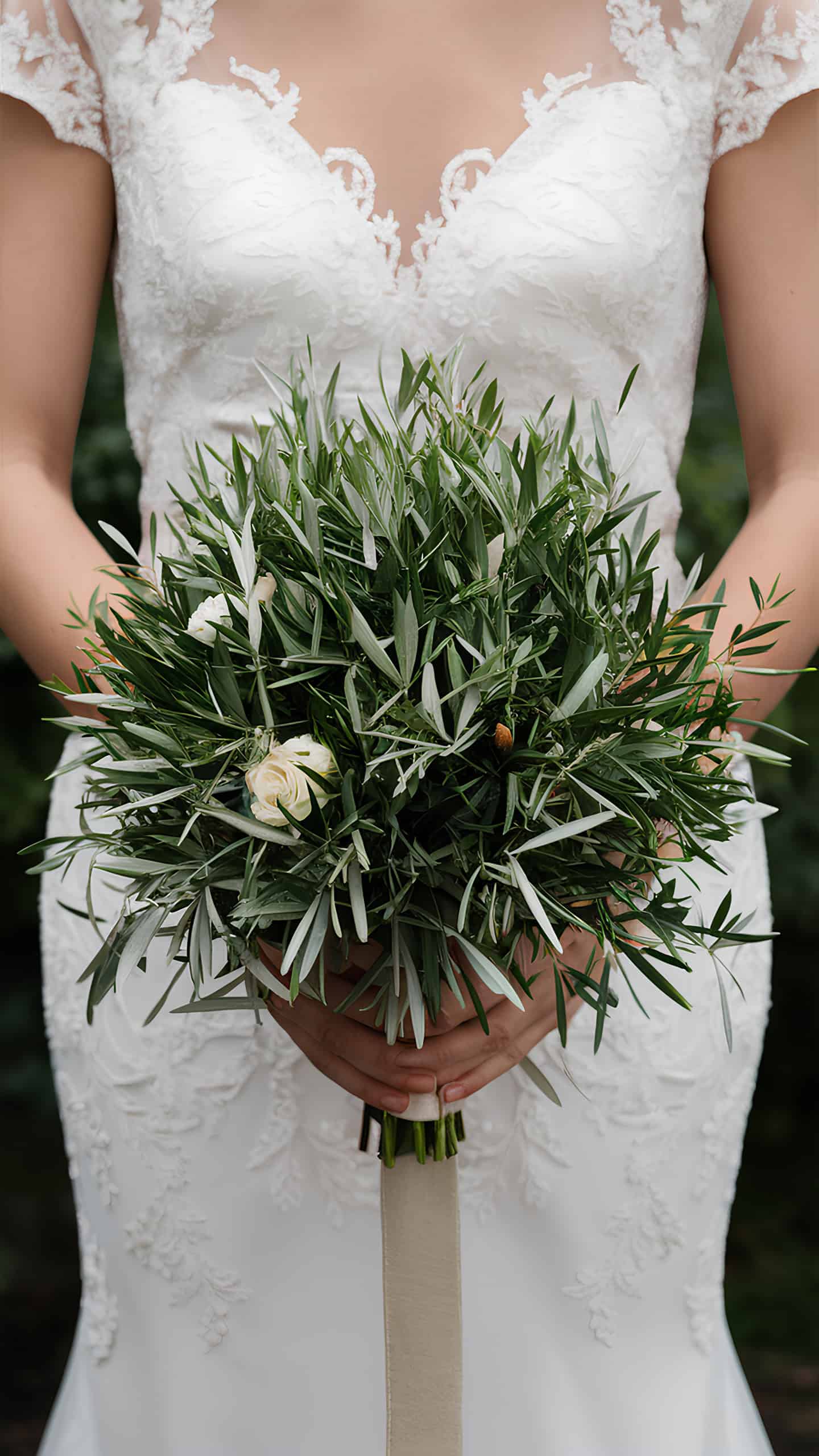 Olive Branch Beauty
