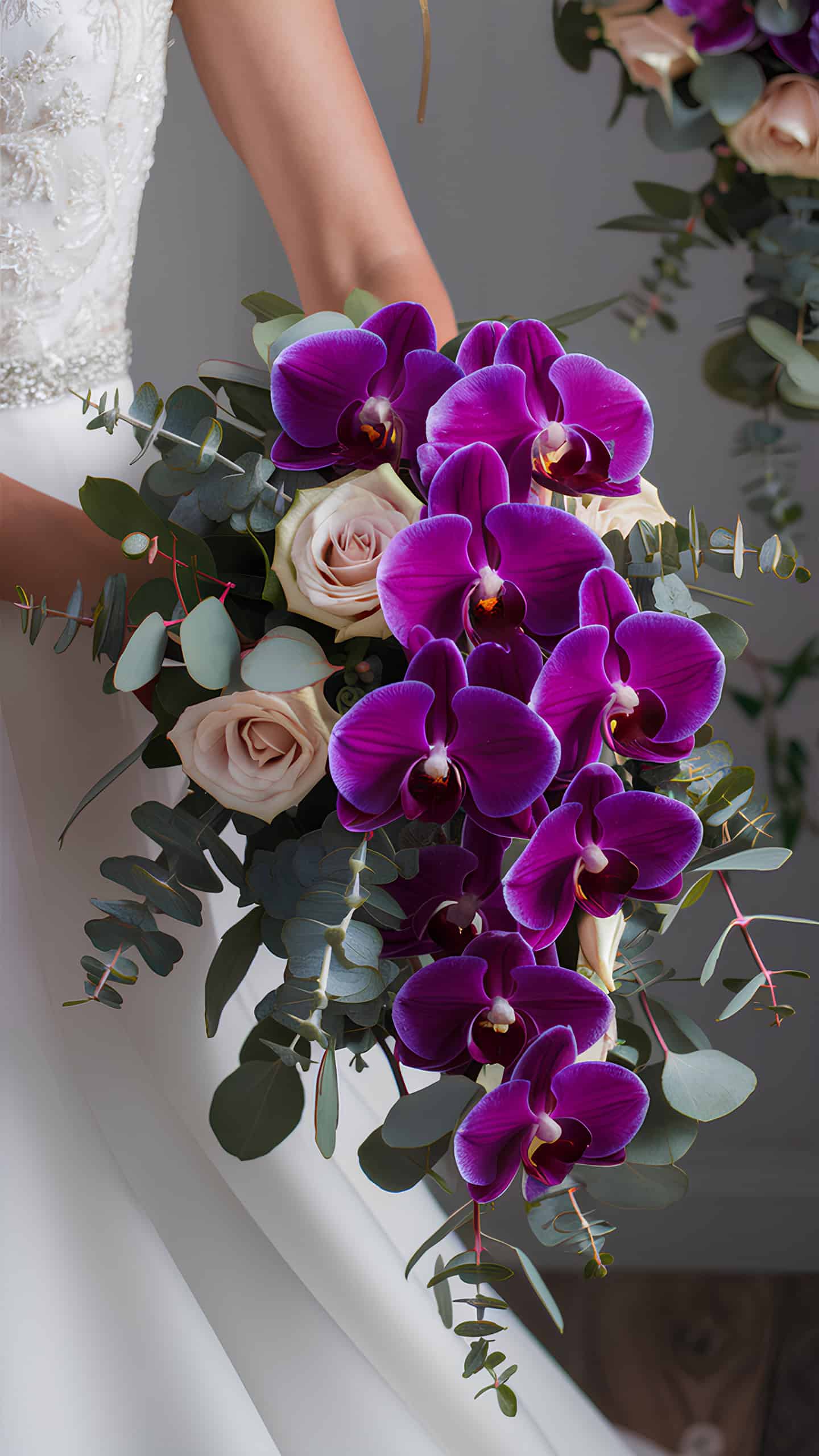 Purple Phalaenopsis Mix
