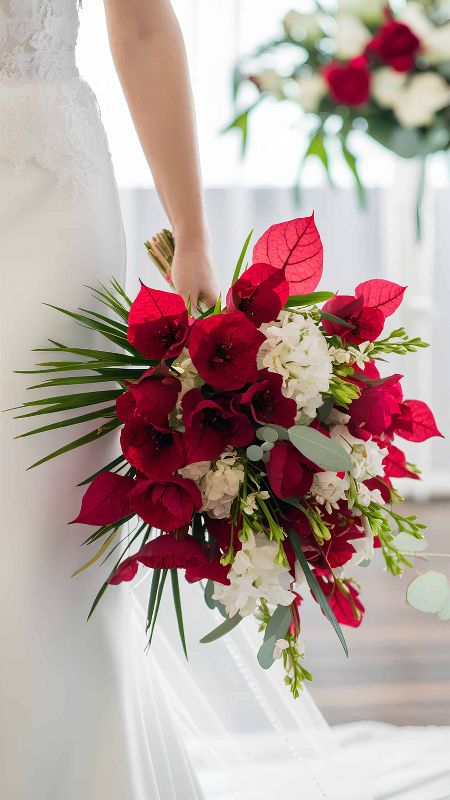Red Bougainvillea Exotic Touch