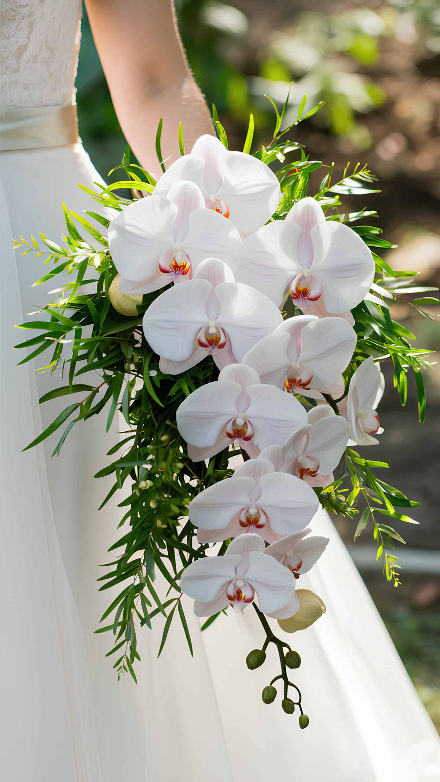 Soft Pink Orchid Delight