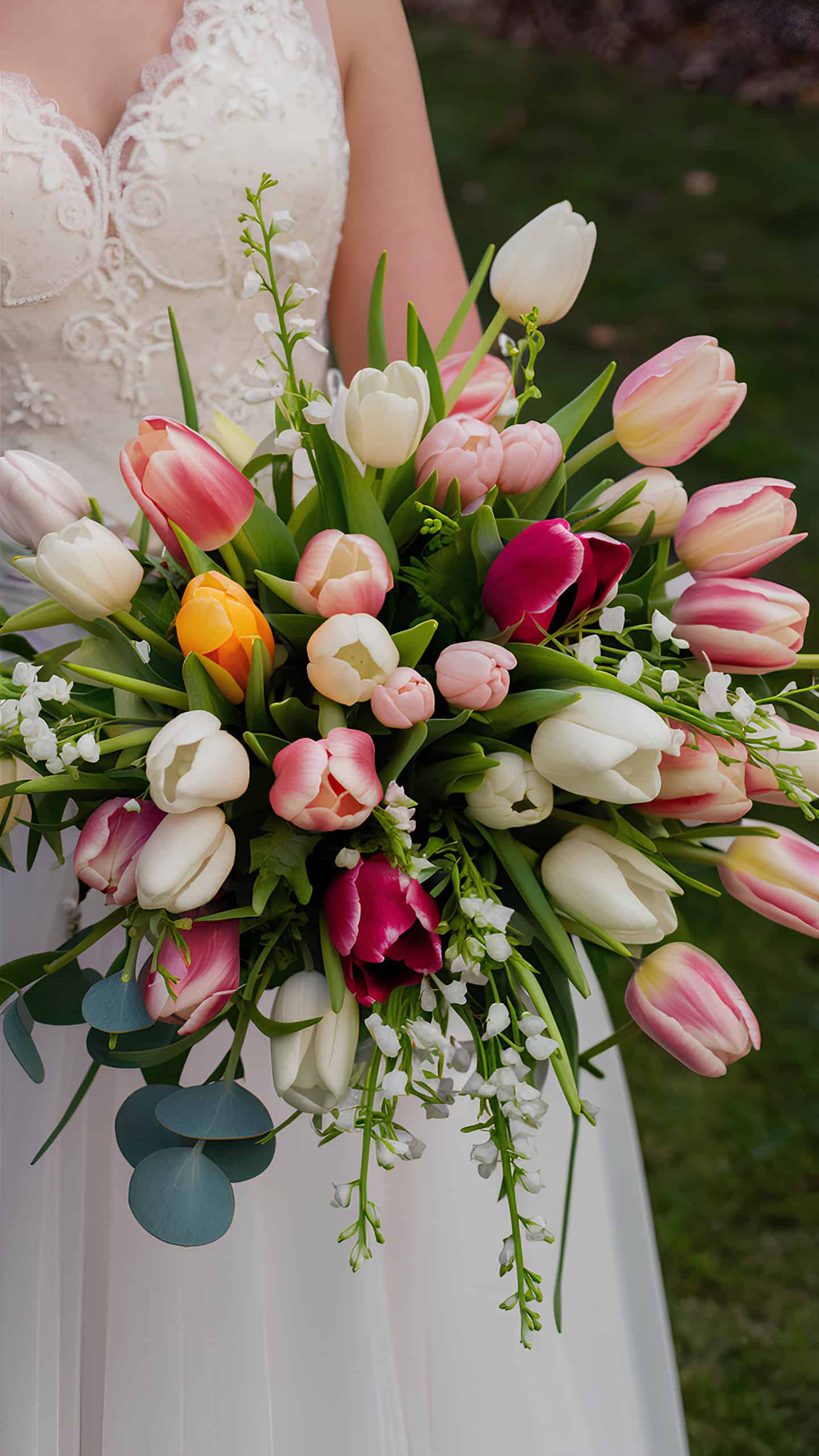 Spring Tulip Explosion