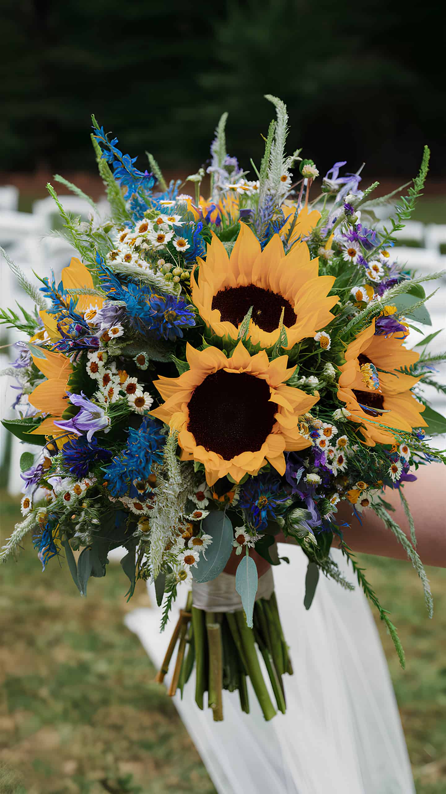 Sunflower Sunburst
